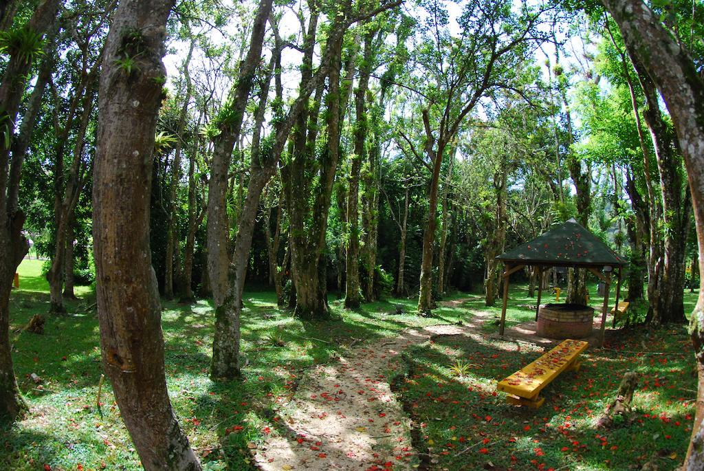 Parador Villas Sotomayor Adjuntas Buitenkant foto
